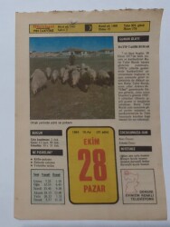 28 Ekim 1984 Takvim Yaprağı - Doğum Günü Hediyesi EFM(N)7002 - Gökçekoleksiyon