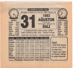 31 Ağustos 1993 Takvim Yaprağı EFM(N)2578 - 1