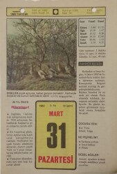 31 Mart 1980 Takvim Yaprağı - Doğum Günü Hediyesi EFM(N)7669 - Gökçekoleksiyon