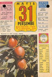 31 Mayıs 1973 Takvim Yaprağı - Doğum Günü Hediyesi EFM(N)9356 - Gökçekoleksiyon