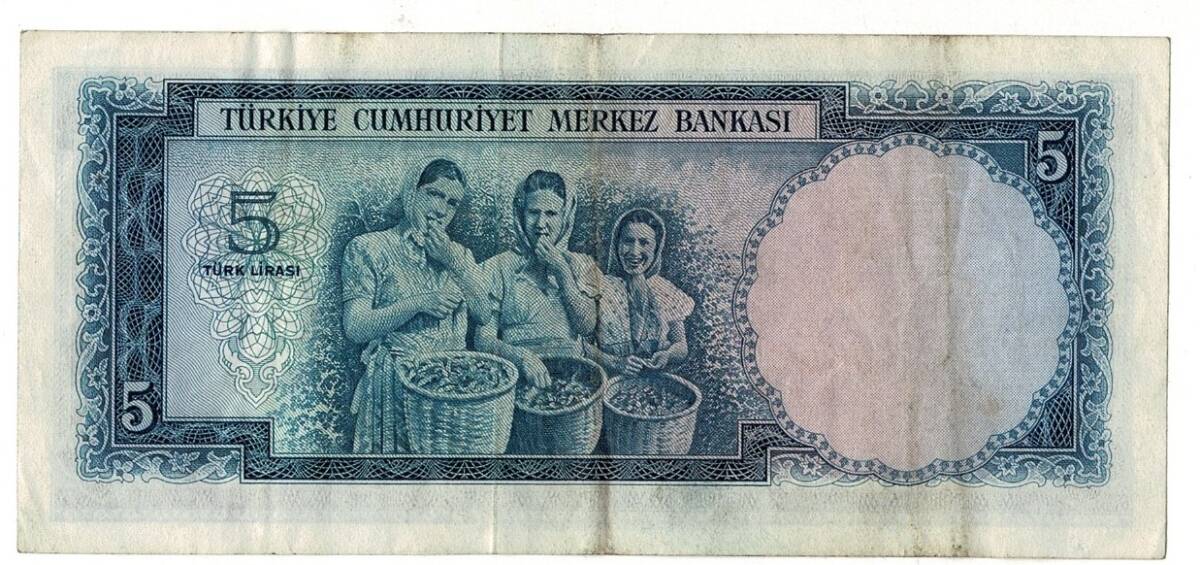 5.Emisyon 1.Tertip 5 Türk Lirası Seri B8 NATUREL/ÇÇT TCK9263 - 2