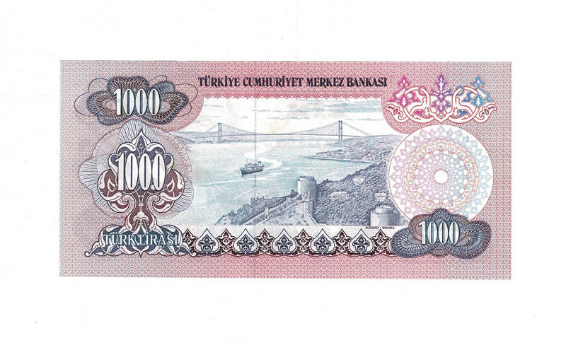 6. Emisyon 3.Tertip 1000 Türk Lirası Seri F41 ÇA TCK9976 - 2