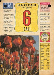 6 Haziran 1972 Takvim Yaprağı - Doğum Günü Hediyesi EFM(N)12298 - Gökçekoleksiyon