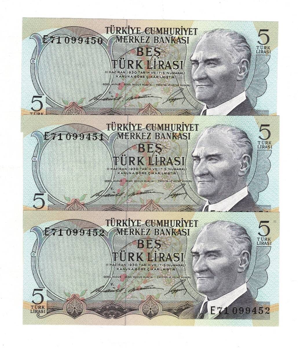 6.Emisyon 1.Tertip 5 Türk Lirası *Seri Takipli E71* - ÇİL TCK10055 - 1