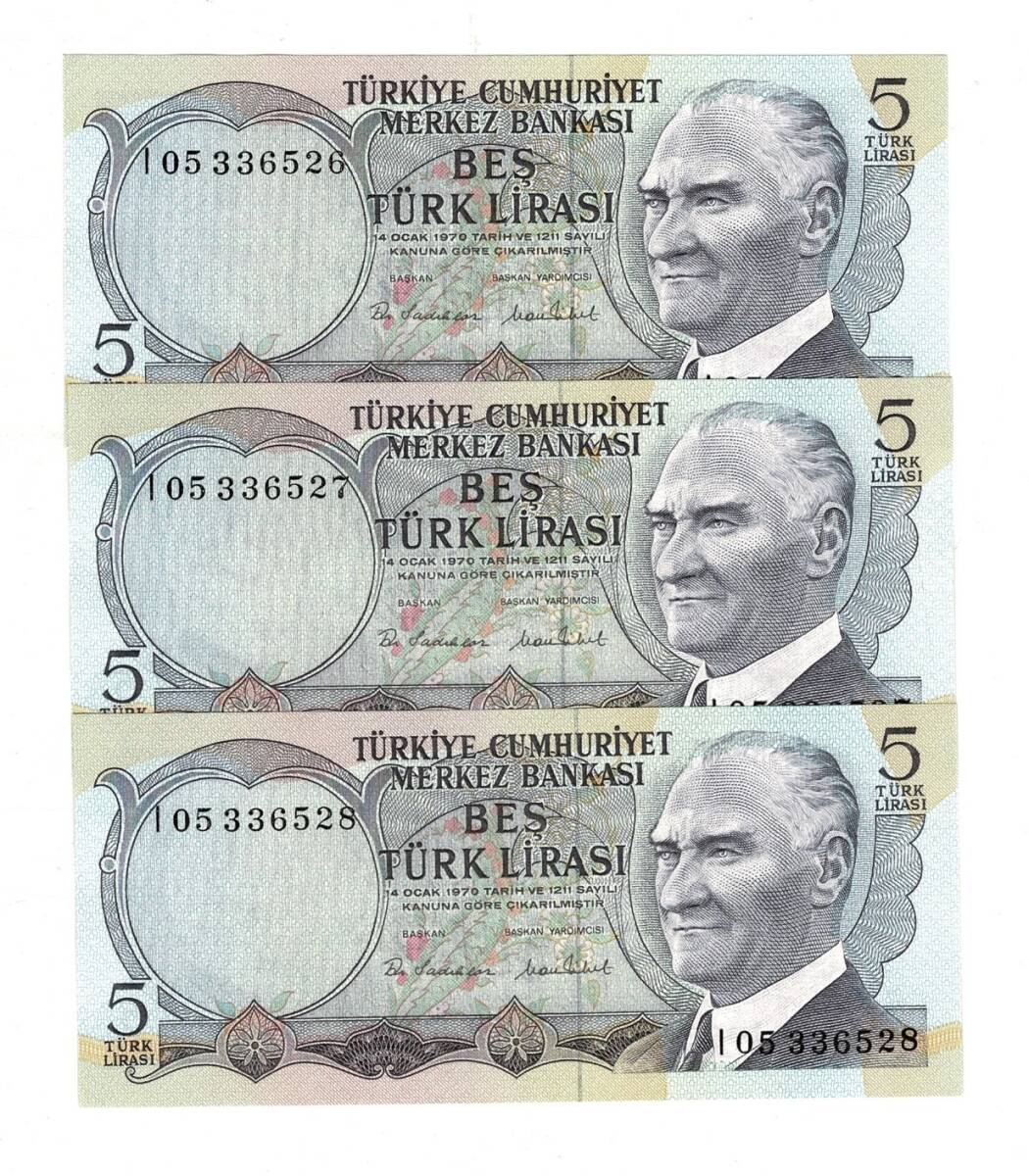 6.Emisyon 2.Tertip 5 Türk Lirası *Seri Takipli I05* - ÇİL TCK10059 - 1