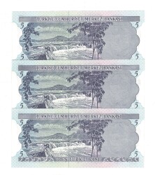6.Emisyon 2.Tertip 5 Türk Lirası *Seri Takipli I05* - ÇİL TCK10059 - 2