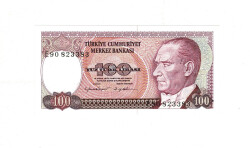 7. Emisyon 2. Tertip 100 TL Seri E90 ÇİL TCK9919 - Gökçekoleksiyon
