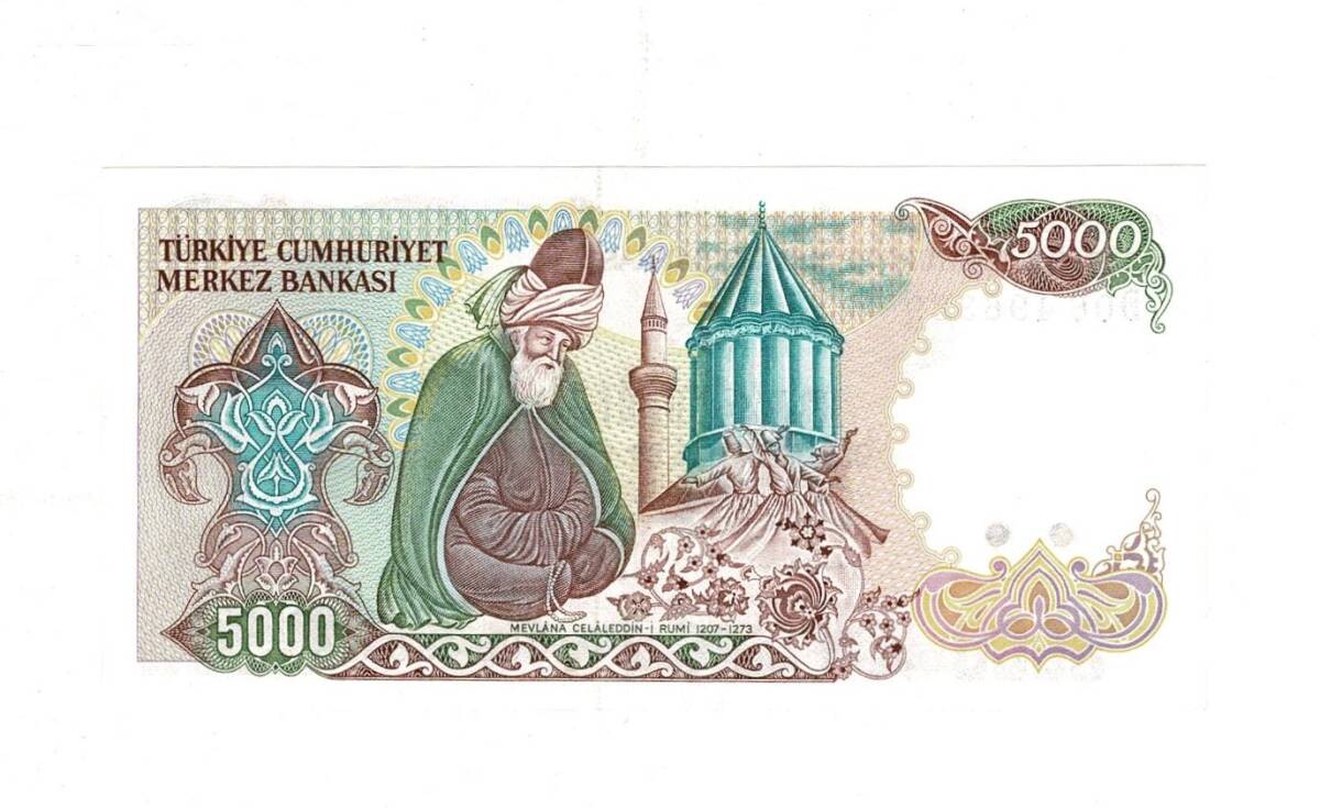 7. Emisyon 2. Tertip 5000 Türk Lirası Seri D06 ÇİL - TCK9889 - 2