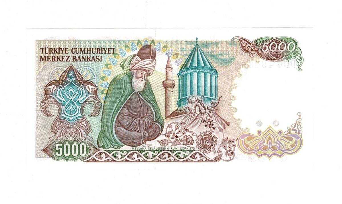 7. Emisyon 2. Tertip 5000 Türk Lirası Seri D06 ÇİL - TCK9890 - 2