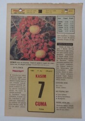 7 Kasım 1980 Takvim Yaprağı - Doğum Günü Hediyesi EFM(N)7104 - Gökçekoleksiyon