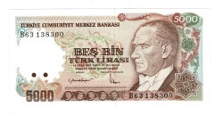 7.Emisyon 2.Tertip 5000 Türk Lirası Seri B63 - ÇİL TCK10132 - 3