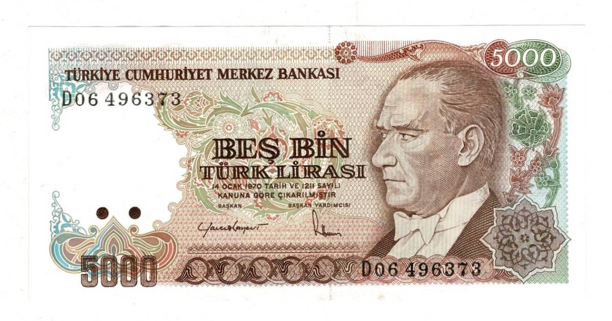 7.Emisyon 2.Tertip 5000 Türk Lirası Seri D06 - ÇİL TCK10133 - 1