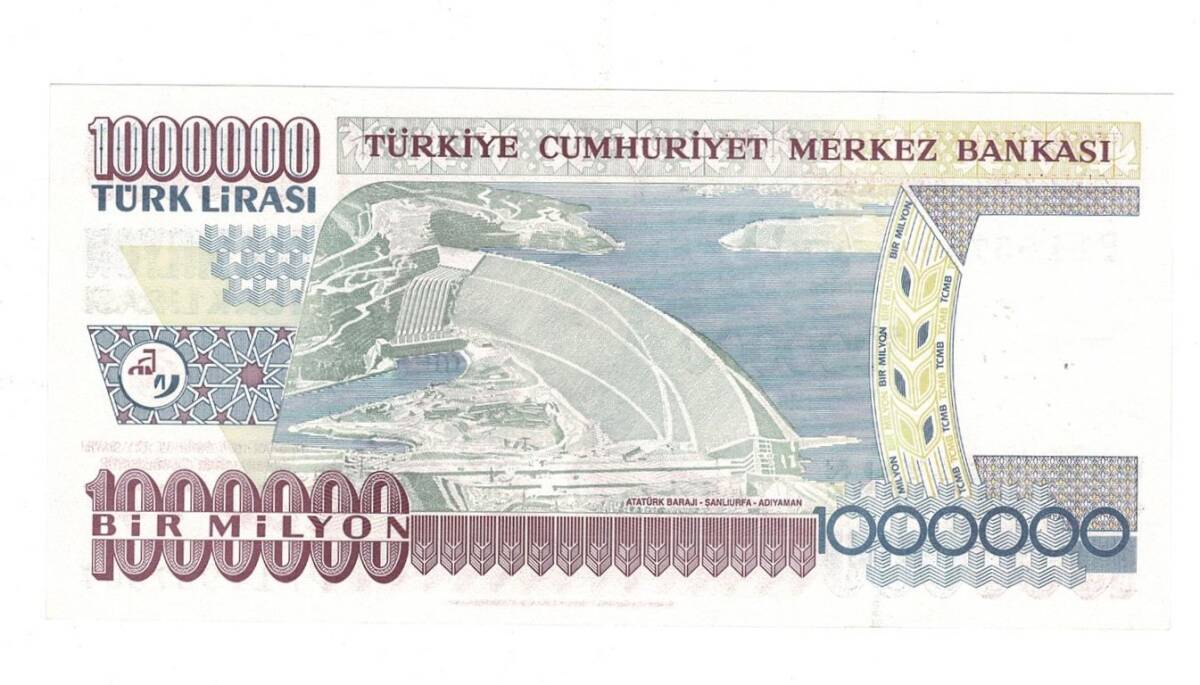7.Emisyon 3.Tertip 1.000.000 Türk Lirası Seri P14 ÇİL *Filigran Takımın Tek Ayağı* - TCK9838 - 2