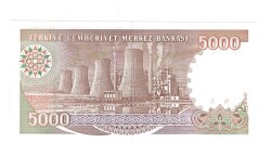 7.Emisyon 4.Tertip 5000 Türk Lirası Seri H90 ÇİL - TCK9885 - 2