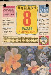 8 Haziran 1980 Takvim Yaprağı - Doğum Günü Hediyesi EFM(N)9125 - Gökçekoleksiyon