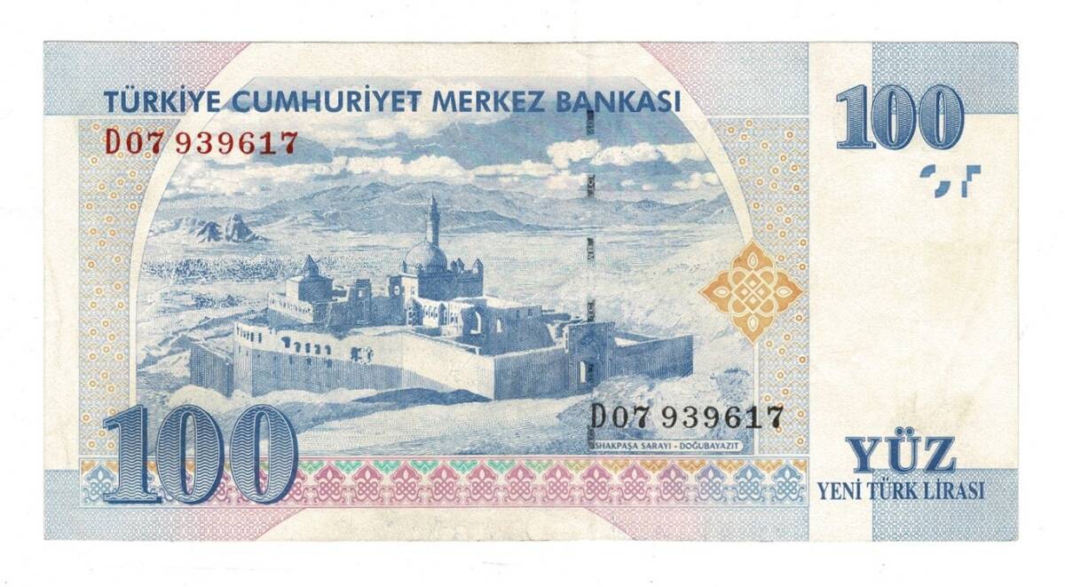 8.Emisyon 1.Tertip 100 Yeni Türk Lirası (100 YTL) Seri D07 - ÇÇT TCK10233 - 3