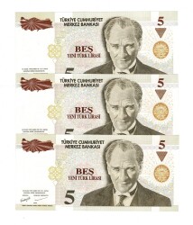 8.Emisyon 1.Tertip 5 Yeni Türk Lirası (5 YTL) Seri A74...666/777/888 - ÇİL TCK10210 - 2