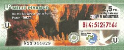 9 Ağustos 2008 Piyango Bileti Çeyrek Bilet PYB6051 - Gökçekoleksiyon