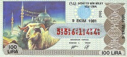 9 Ekim 1981 Piyango Bileti Çeyrek Bilet PYB6360 - Gökçekoleksiyon