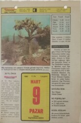 9 Mart 1980 Takvim Yaprağı - Doğum Günü Hediyesi EFM(N)7647 - Gökçekoleksiyon