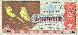 9 Nisan 1984 Piyango Bileti Yarım Bilet PYB6315 - Gökçekoleksiyon