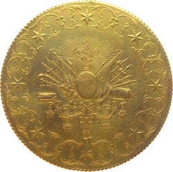 Abdülhamid 500 Kuruş 1293/32 Ziynet - Kulptan Çıkma *R* TCA283 #4523 - 1