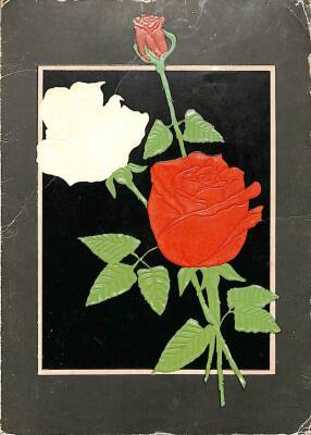 Açılır Kapak Çiçek Temalı Kartpostal KRT15419 - 1