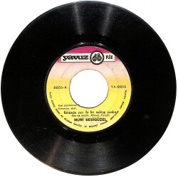 Nuri Sesigüzel - Gözümün Yaşı İle Bir Mektup Yazdım / Kardeş Kurşunu Düşmandan Beter Plak (10/6) PLK25010 - Gökçekoleksiyon