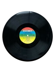 Adnan Şenses - Gönlümde İsyan (Arabesk) LP Plak (10/8) PLK25456 - 2