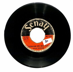 Adnan Varveren - Zampara Şoför / İstanbuldan Köye Giden Gelin Plak (10/6) PLK21164 - 2