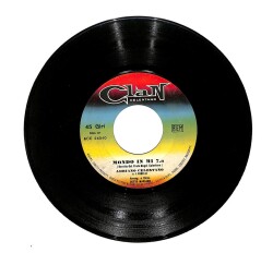 Adriano Celentano- Mondo In MiUna Festa Sui Prati (107.5) PLK16428 - 1