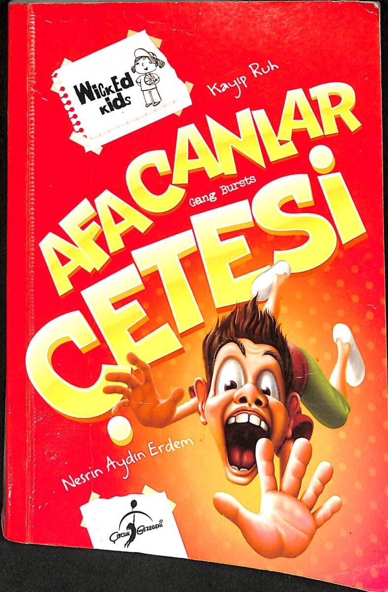 Afacanlar Çetesi - Kayıp Ruh - Dolunay Kapısı NDR92220 - 1
