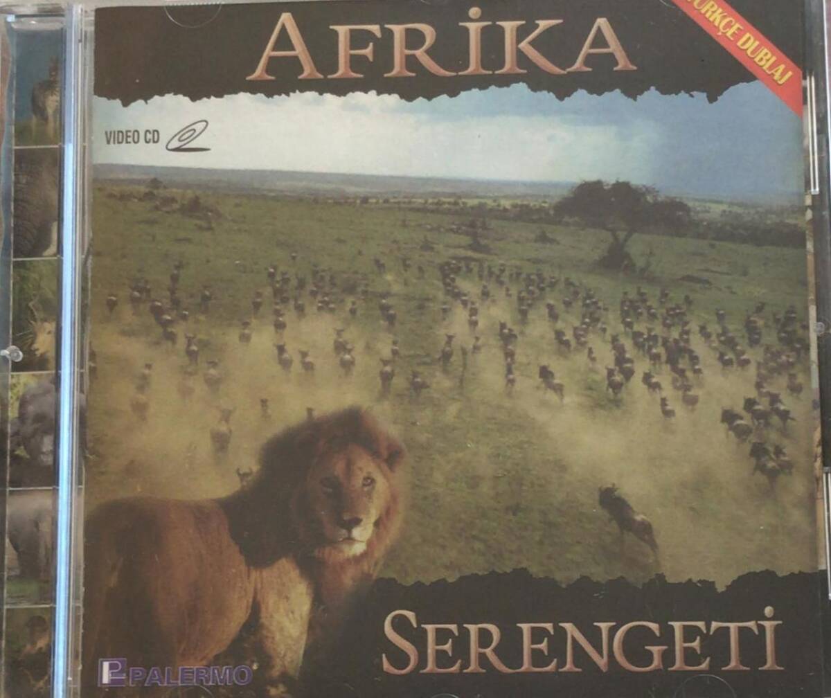 Afrika Serengeti VCD Film VCD7749 - 1