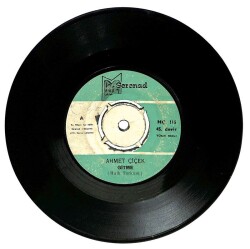 Ahmet Çiçek - Gitme Boyun Büküp İçli Bakma (107) PLK15916 - 1