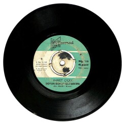 Ahmet Çiçek - Gitme Boyun Büküp İçli Bakma (107) PLK15916 - 2
