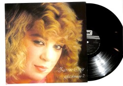 Zerrin Özer – Gelecekmisin? LP PLAK (10/8.5) (VG++) PLK26469 - Gökçekoleksiyon