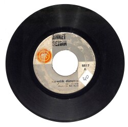 Ahmet Sezgin - Karanlık Dünyam / Senin İçin Boş Geçen Günlere Yanıyorum Plak (10/6) PLK21568 - 1