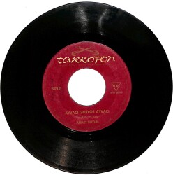 Ahmet Sezgin - Yeşil Başlı Telli Turnam / Ayvacı Geliyor Ayvacı Plak (10/6.5) PLK26143 - 2