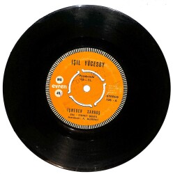 Işıl Yücesoy - İçmeden Sarhoş / Açılmamış Mektup Plak (10/7) PLK25311 - Gökçekoleksiyon