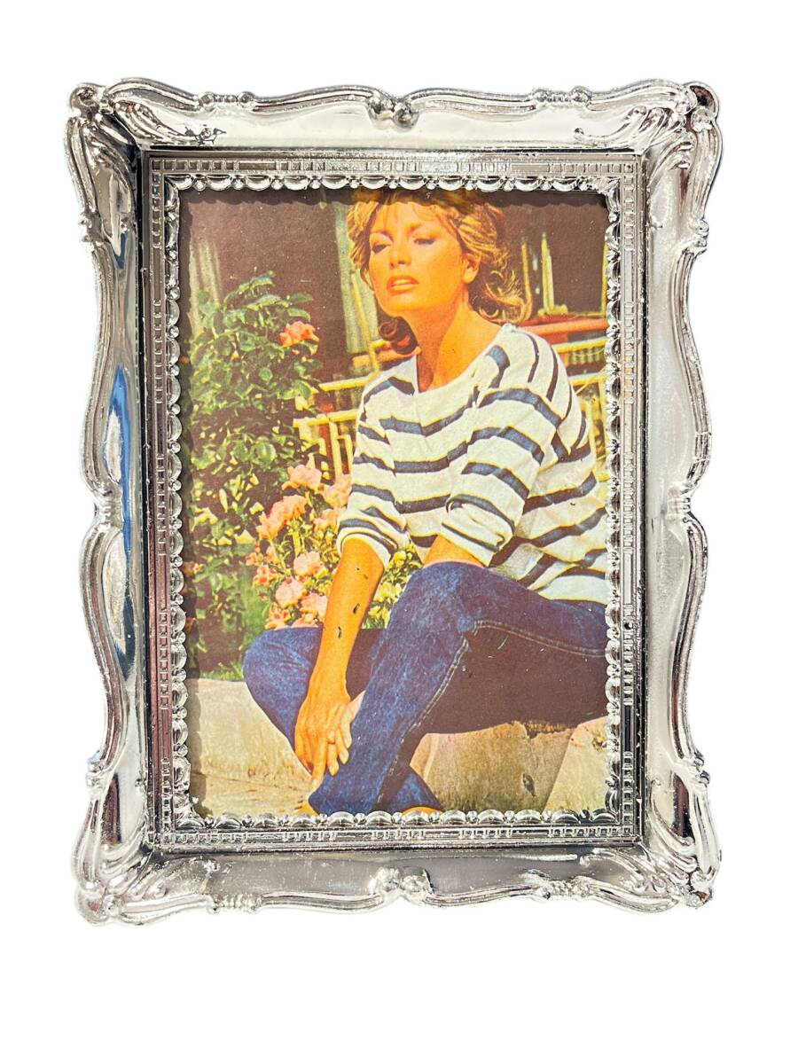 Ajda Pekkan Çerçeveli Resim (Küçük Boy) KRT24088 - 3