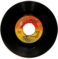 Ajda Pekkan – İnanmam & Nasılsın İyimisin Plak (10/6) PLK26812 - 1