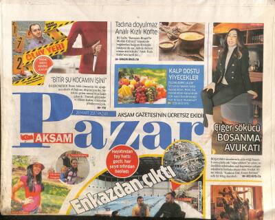 Akşam Gazetesi Pazar Eki 26 Mart 2017 - Ciğer Sökücü Boşanma Avukatı GZ116523 - 1