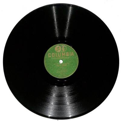 Al Goodman And His Orchestra – Waltz Time In Vienna TAŞ PLAK (107.5) PLK18382 - 1
