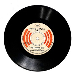Alaaddin Öztürk - Saz İle Türkü İle Öyle Sevdim Seni PLAK (106.5) PLK18257 - 1