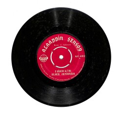 Alaaddin Şensoy - O Ağacın Altını Bilmem Anıyormusun - Ne Birleştik Ne Ayrıldık 45'lik Plak (10/7.5) PLK27207 - 1