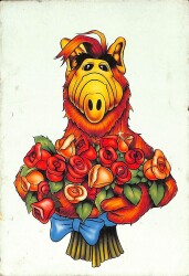 ALF Kartpostal KRT17871 - Gökçekoleksiyon