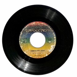 Ali Ercan - Medinenin Ağıdı PLAK (10/6) PLK18651 - 1