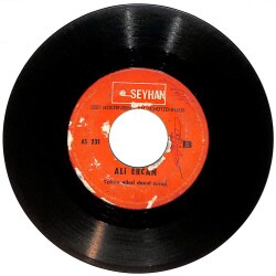 Ali Ercan - Yaban Elleri / Atım Kalk Gidelim Plak (10/5.5) PLK25058 - 2
