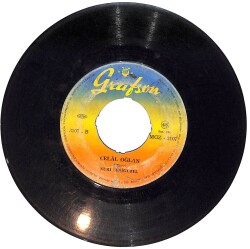 Nuri Sesigüzel - Derdimi Yazmaz Kalem / Celal Oğlan PLAK (10/6) PLK24812 - Gökçekoleksiyon