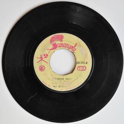 Ali Şenozan - Aşık Olmak Yasak Mı Sanki PLAK (10/6.5) PLK3047 - 2